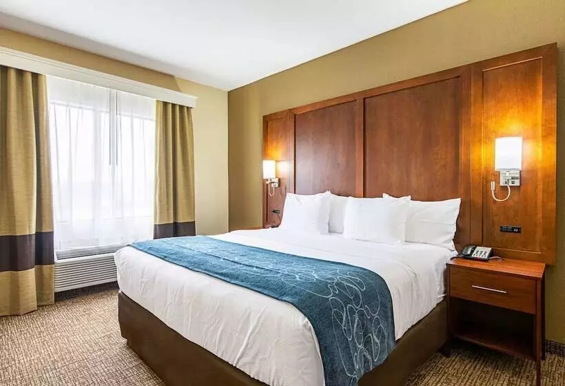 スイート, Comfort Inn & Suites Pine Bluff