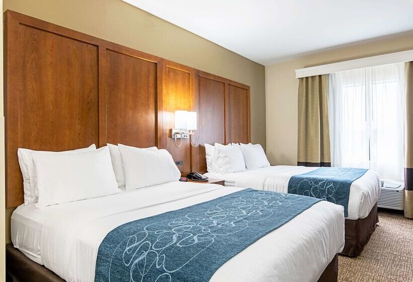 جناح, Comfort Inn & Suites Pine Bluff