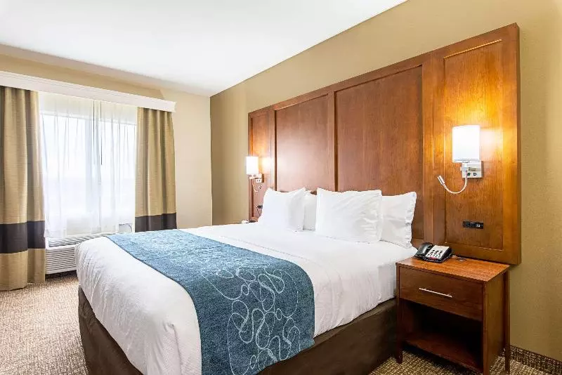 キングサイズベッドのスイートルーム, Comfort Inn & Suites Pine Bluff