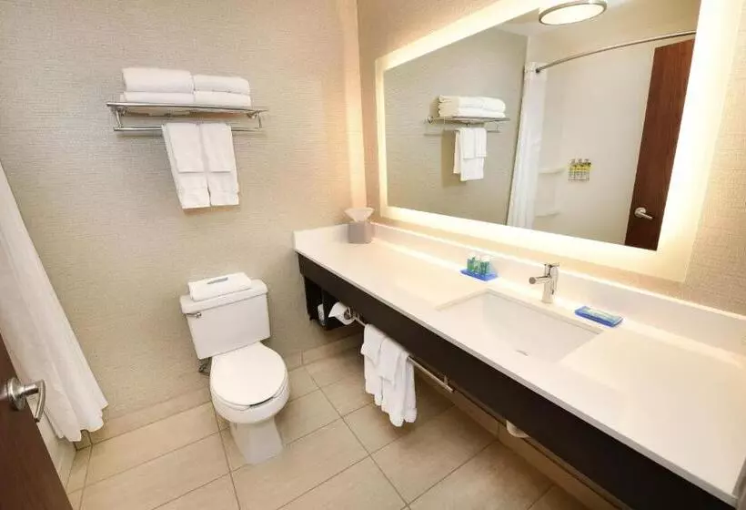 スタンダードルーム, Holiday Inn Express Hotel & Suites Grand Forks, An Ihg