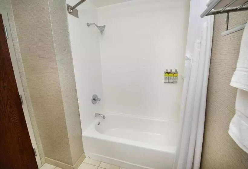 キングサイズベッドのスタンダードルーム, Holiday Inn Express Hotel & Suites Grand Forks, An Ihg