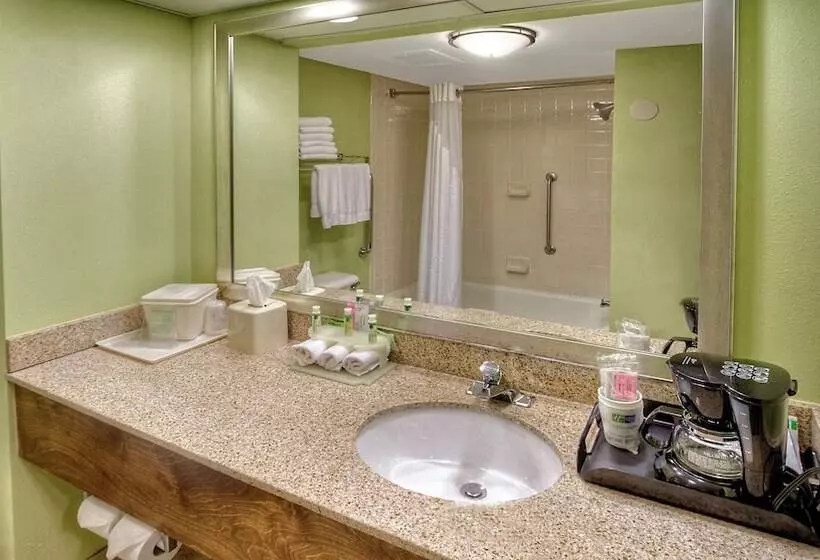 スイート, Holiday Inn Express Greenville, An Ihg