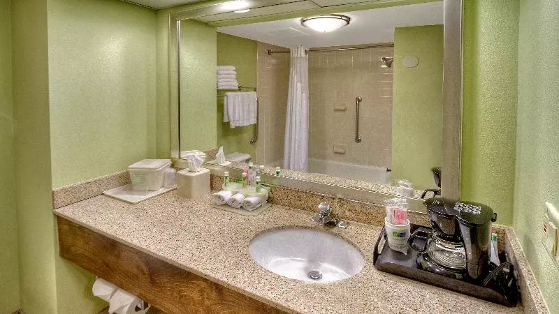 キングサイズベッドのスタンダードルーム, Holiday Inn Express Greenville, An Ihg