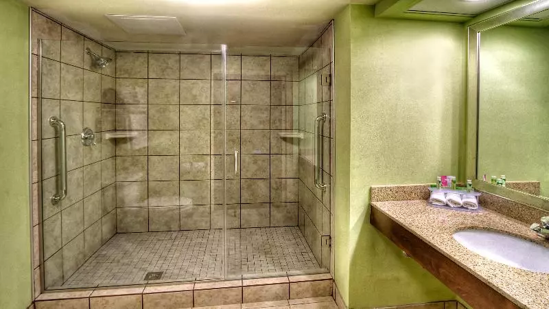 キングサイズベッドのスタンダードルーム, Holiday Inn Express Greenville, An Ihg