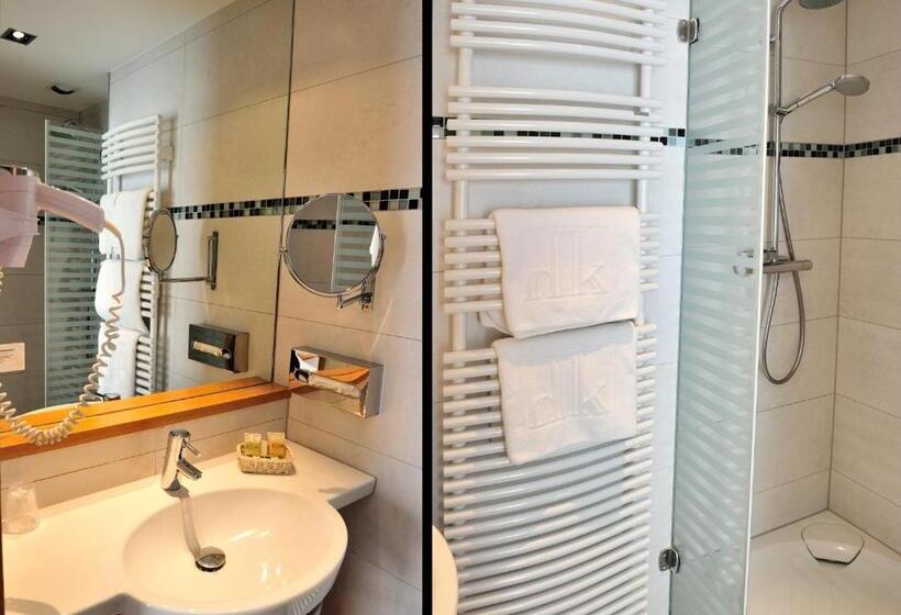 Номер Стандарт Индивидуальный, Auberge Sundgovienne