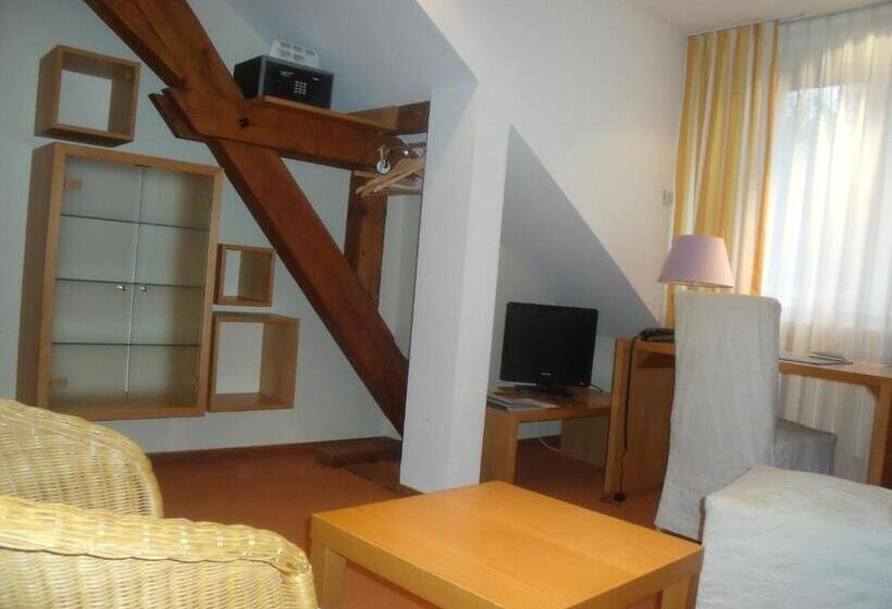 סוויטת ג'וניור, Auberge Sundgovienne