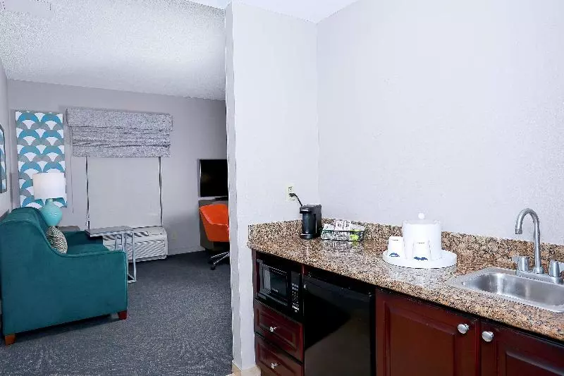 Sviitti King-vuode, Hampton Inn & Suites Tampawesley Chapel