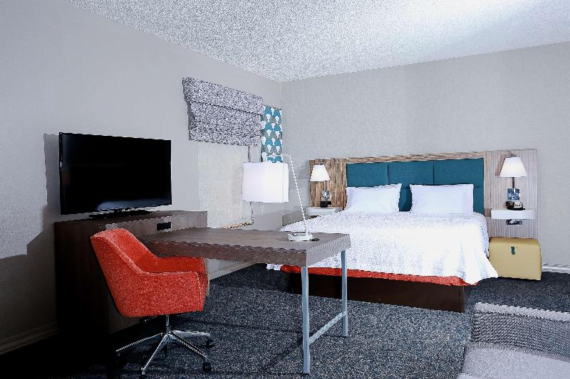 Люкс Кровать Кинг, Hampton Inn & Suites Tampawesley Chapel
