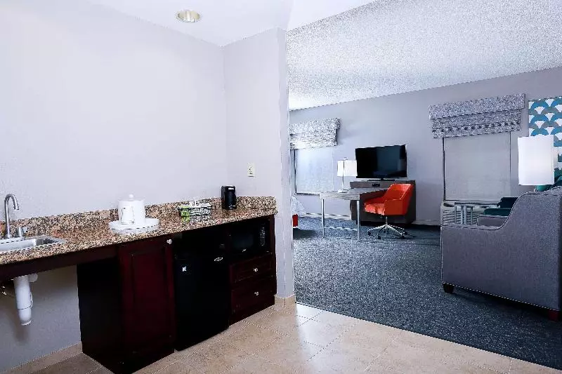 Sviitti King-vuode, Hampton Inn & Suites Tampawesley Chapel