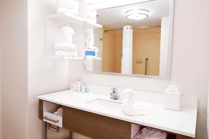 Standard-huone King-vuode, Hampton Inn & Suites Tampawesley Chapel