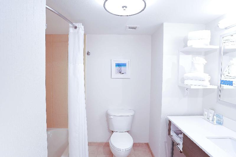 스탠다드 룸 킹사이즈 침대, Hampton Inn & Suites Tampawesley Chapel