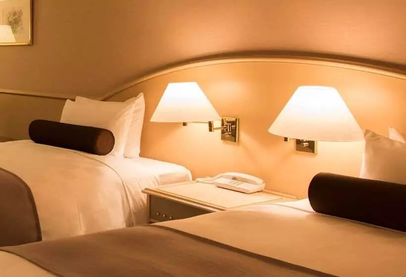 اتاق استاندارد, Rusutsu Resort Hotel & Convention