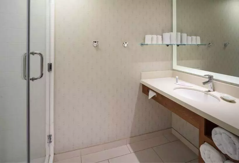 スイート, Springhill Suites By Marriott Philadelphia Airport / Ridley Park