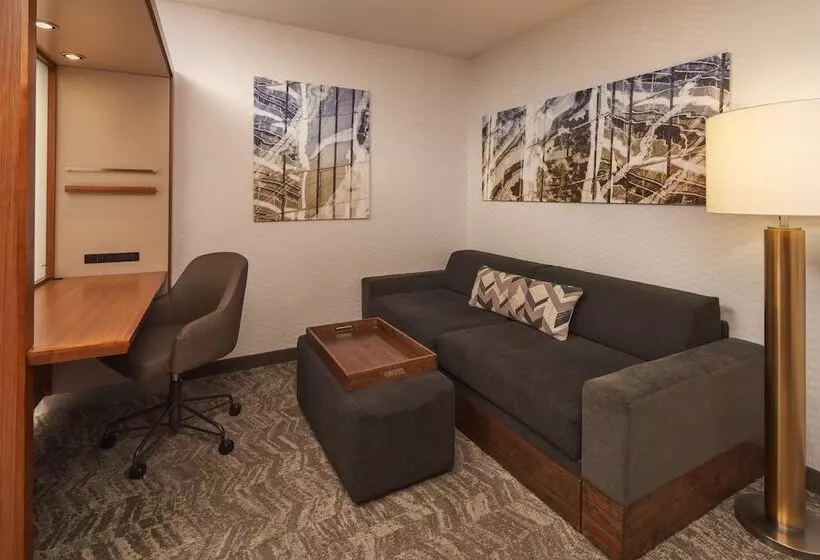 スイート, Springhill Suites By Marriott Philadelphia Airport / Ridley Park