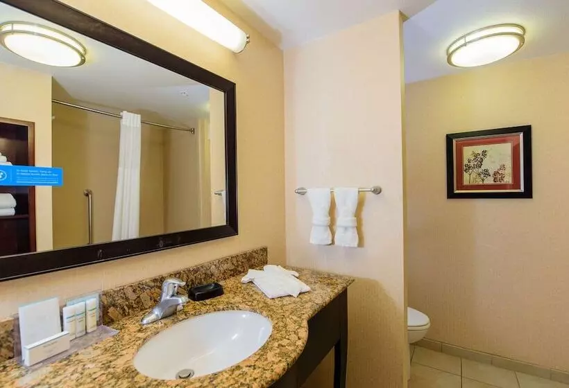 ダブルベッドのスタンダードスタジオ, Hampton Inn & Suites Denver/highlands Ranch