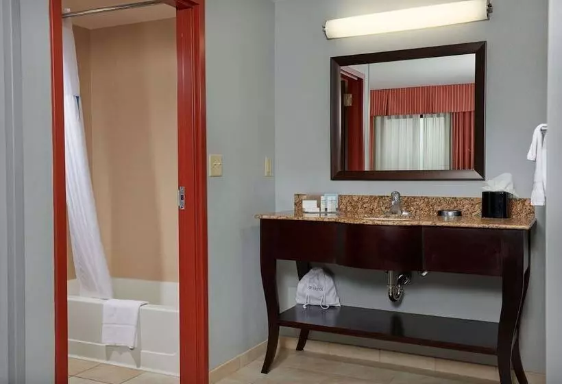 ダブルベッドのスタンダードスタジオ, Hampton Inn & Suites Denver/highlands Ranch