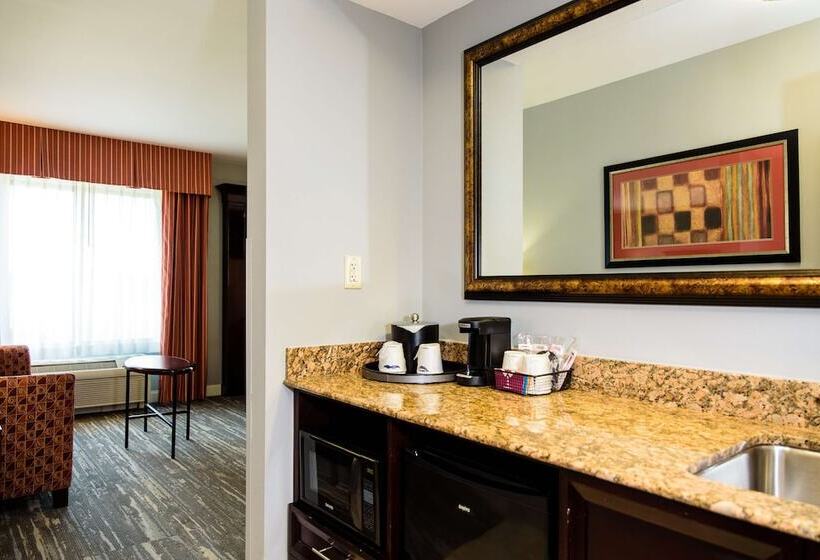 إستوديو قياسى سرير مزدوج, Hampton Inn & Suites Denver/highlands Ranch