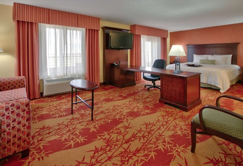 إستوديو قياسى سرير مزدوج, Hampton Inn & Suites Denver/highlands Ranch