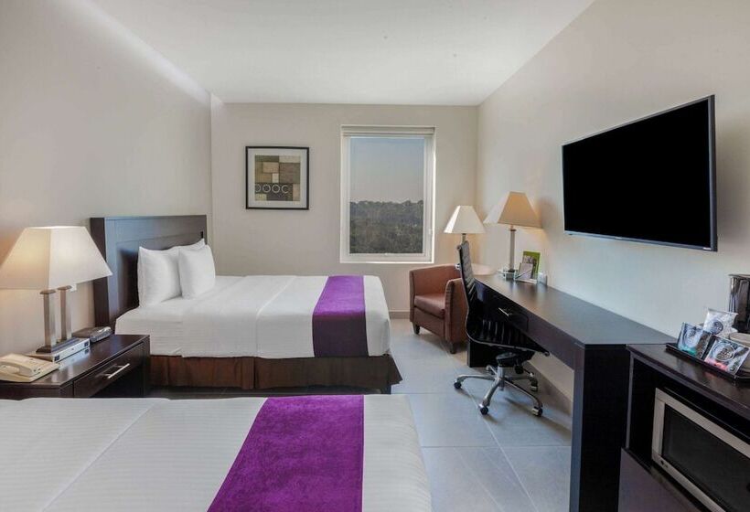 带2个双人床的标准工作室, La Quinta By Wyndham Poza Rica