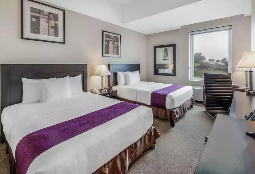 エクゼクティブルーム, La Quinta By Wyndham Poza Rica