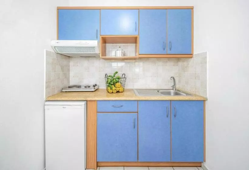 Studio Standard, Maria Rousse