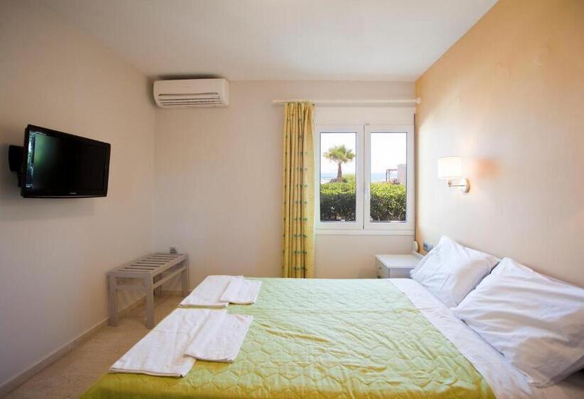 דירת חדר, Phaedra