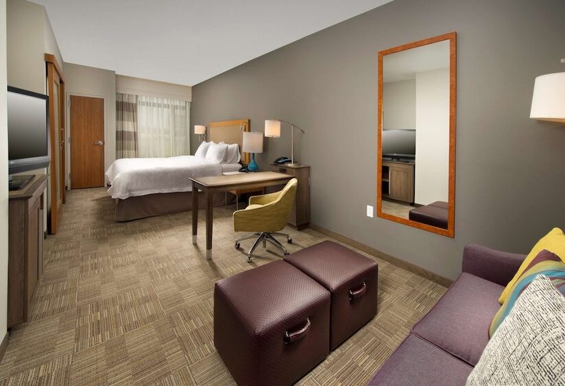 带双人床的标准工作室, Hampton Inn & Suites San Antonio Northwest/medical Center
