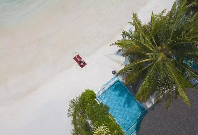 ویلای 2 خوابه, Machchafushi Island Resort & Spa Maldives, The Centara Collection