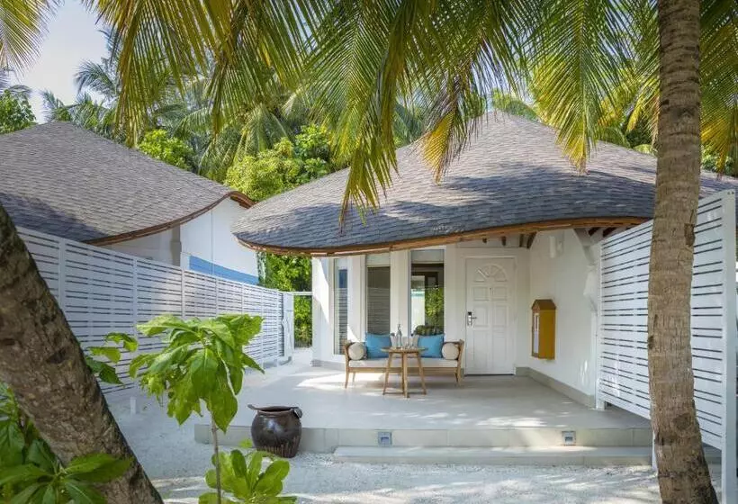 سوییت, Machchafushi Island Resort & Spa Maldives, The Centara Collection