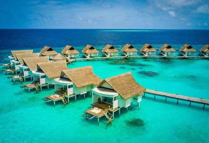 ویلا پریمیوم 1 خوابه, Machchafushi Island Resort & Spa Maldives, The Centara Collection