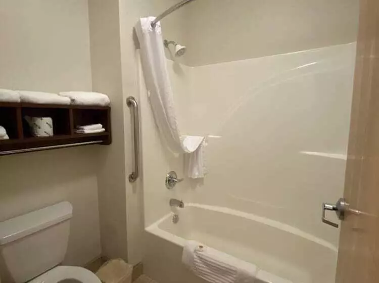 ２ダブルベッドのスタンダードルーム, Comfort Inn Downtown  University Area