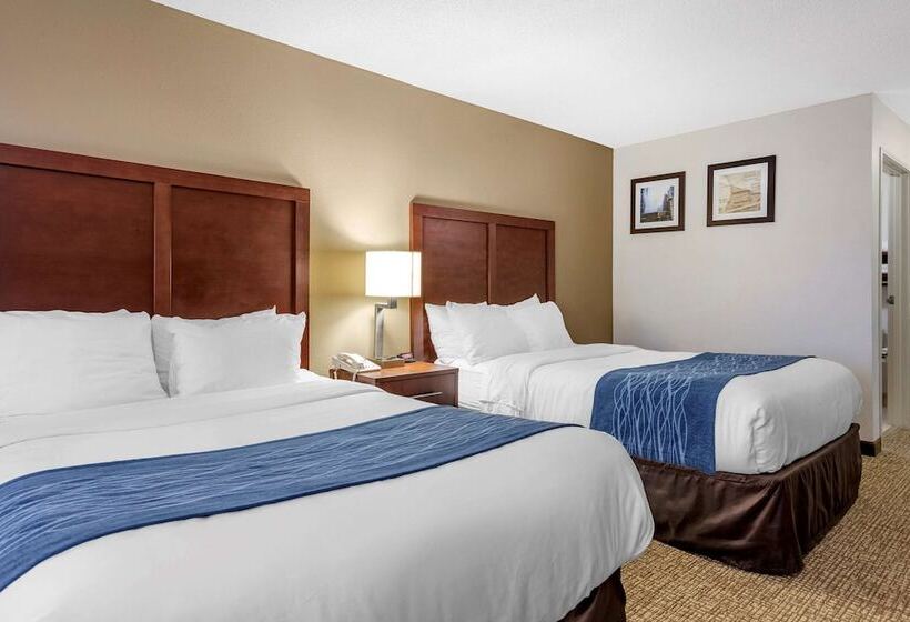 ２ダブルベッドのスタンダードルーム, Comfort Inn Downtown  University Area