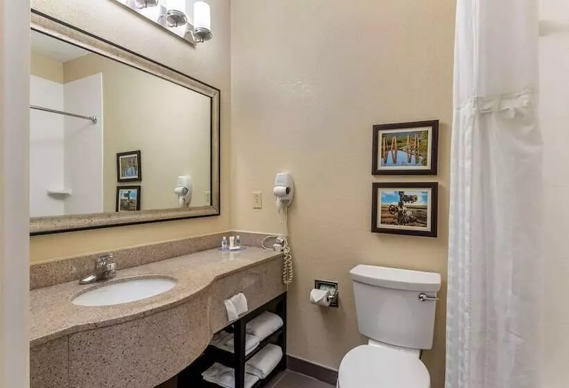 سوئیت با تخت بزرگ, Comfort Inn & Suites El Dorado