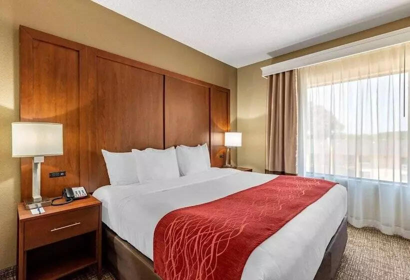 سوئیت با تخت بزرگ, Comfort Inn & Suites El Dorado