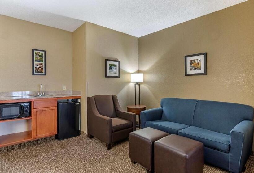 Люкс Адаптированный для Инвалидов, Comfort Inn & Suites El Dorado