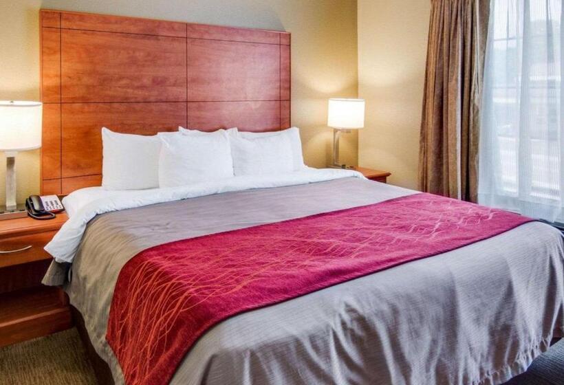 سوئیت با تخت بزرگ, Comfort Inn & Suites El Dorado