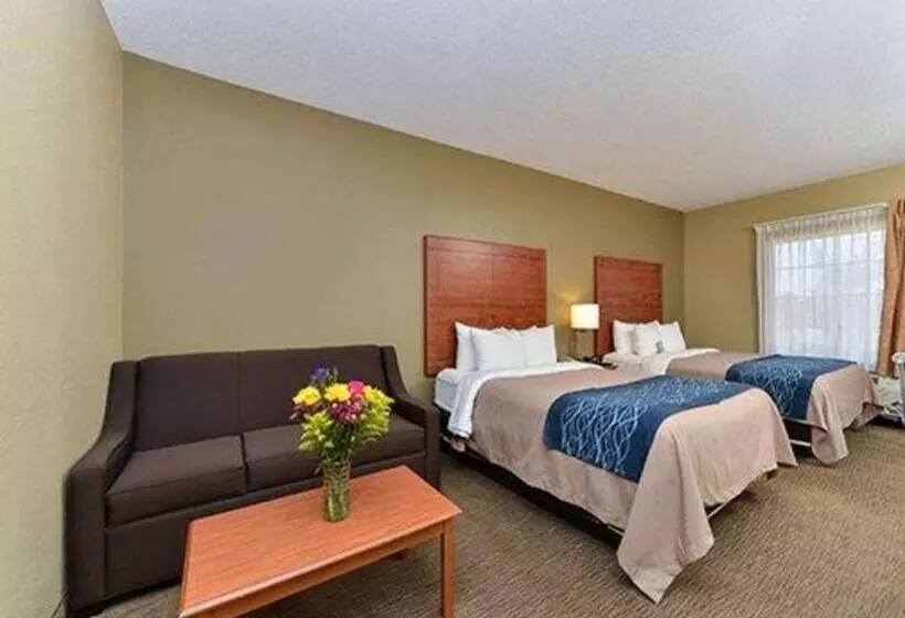 سوییت, Comfort Inn & Suites El Dorado