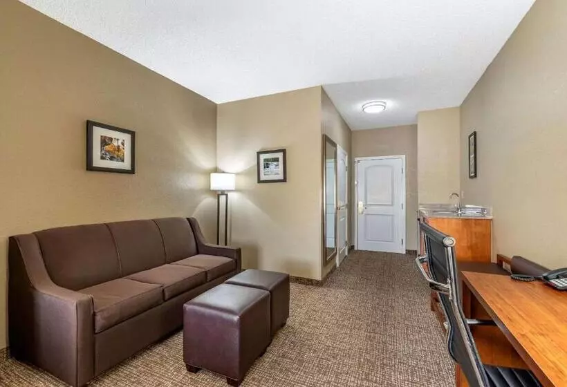 اتاق استاندارد با تخت بزرگ, Comfort Inn & Suites El Dorado