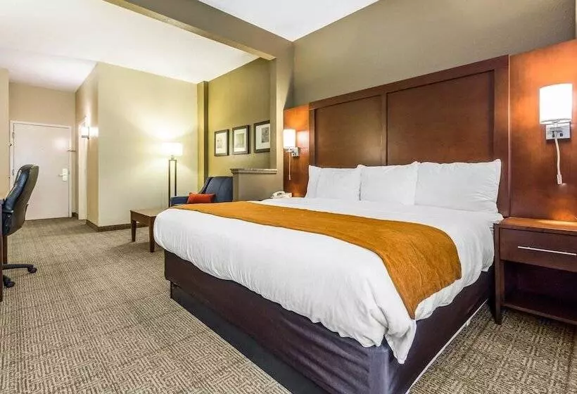 スイート, Comfort Suites At The University