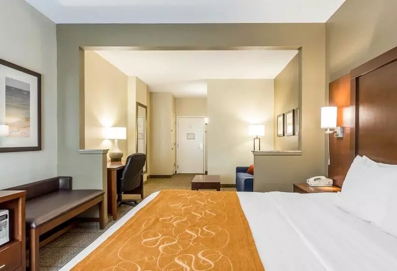 スイート, Comfort Suites At The University