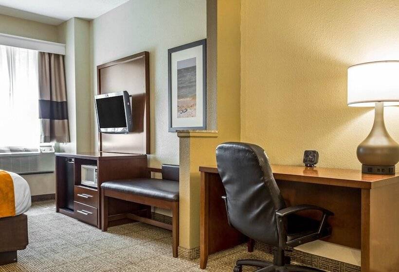 スイート, Comfort Suites At The University