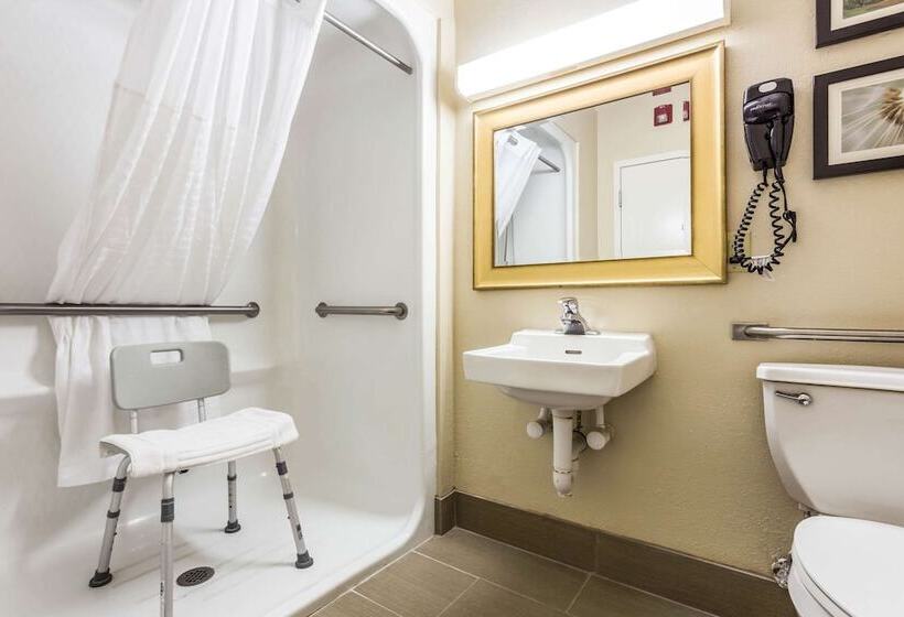 身障者適用スイートルーム, Comfort Suites At The University