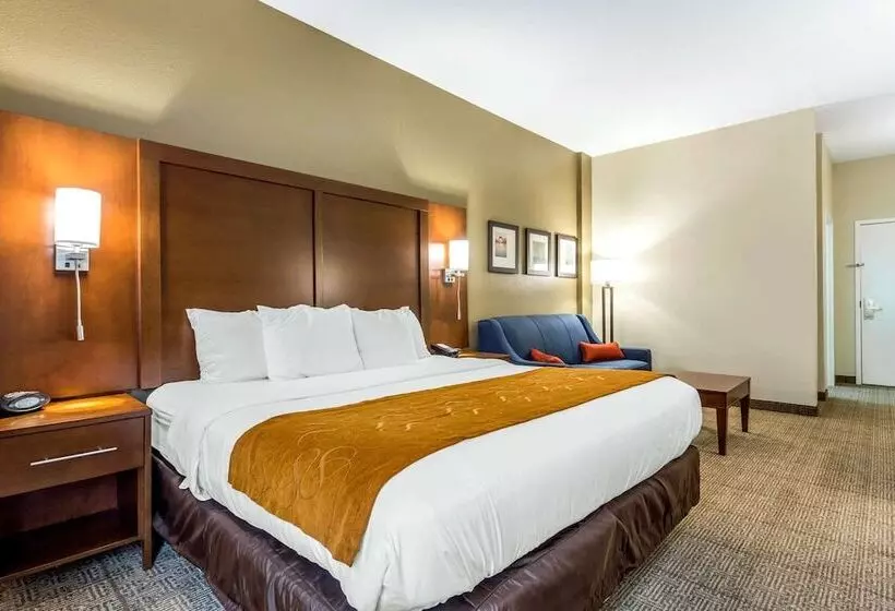 身障者適用スイートルーム, Comfort Suites At The University