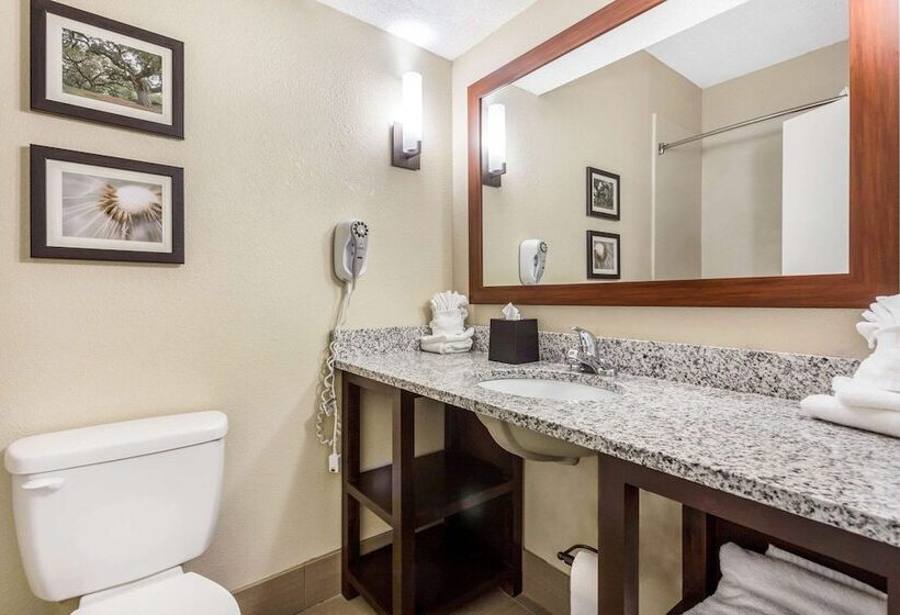 身障者適用スイートルーム, Comfort Suites At The University