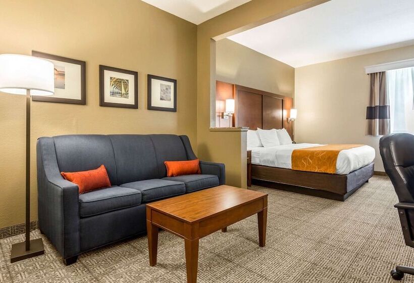 身障者適用スイートルーム, Comfort Suites At The University