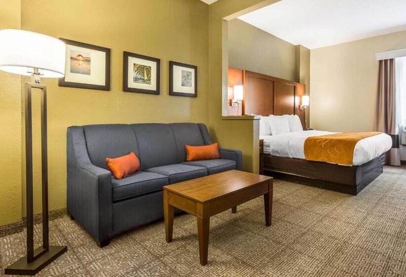 キングサイズベッドのスイートルーム, Comfort Suites At The University