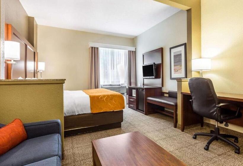 キングサイズベッドのスイートルーム, Comfort Suites At The University