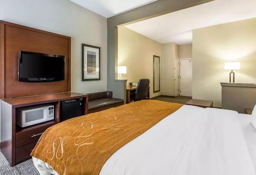 キングサイズベッドのスイートルーム, Comfort Suites At The University