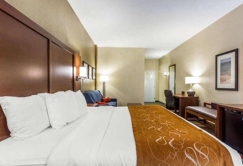 キングサイズベッドのスタンダードルーム, Comfort Suites At The University