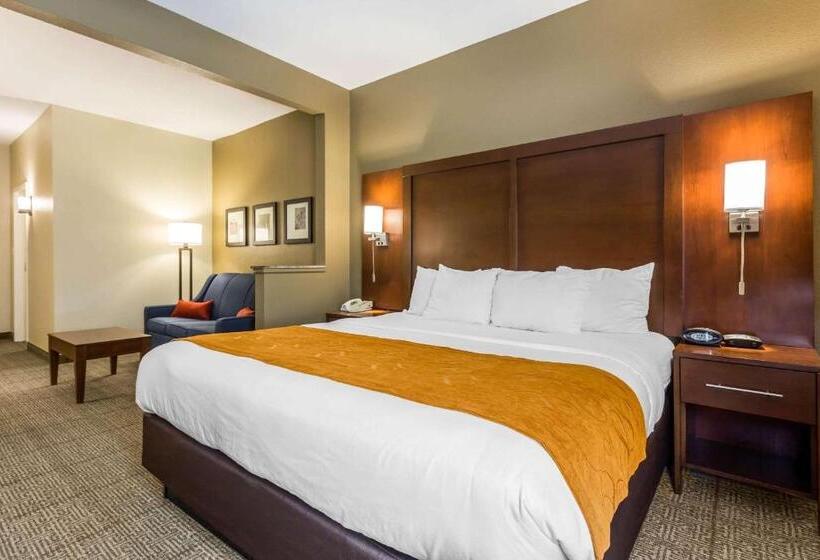 身障者適用スイートルーム, Comfort Suites At The University